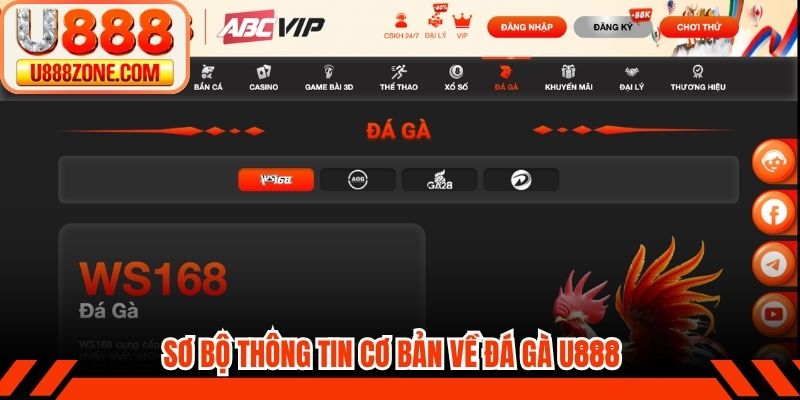 Sơ bộ thông tin cơ bản về đá gà U888